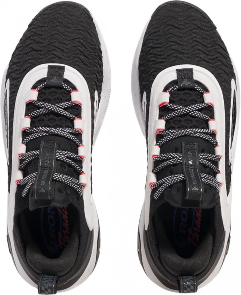 Кроссовки Under Armour Project Rock 7 3027600-004