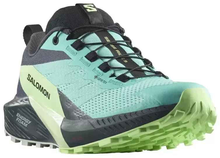 Кроссовки Salomon SENSE RIDE 5 GTX L47216000