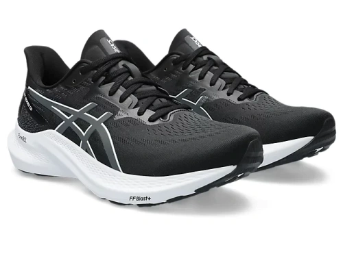 Кроссовки Asics GT-2000 12 1011B691-002