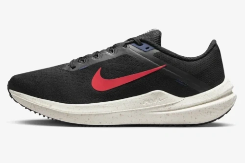 Кроссовки NIKE AIR WINFLO 10 DV4022-002