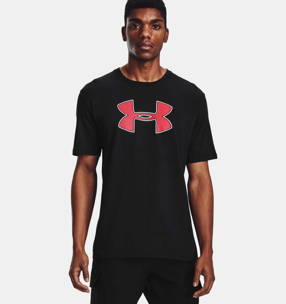 Футболка Under Armour UA BIG LOGO SS 1329583-003