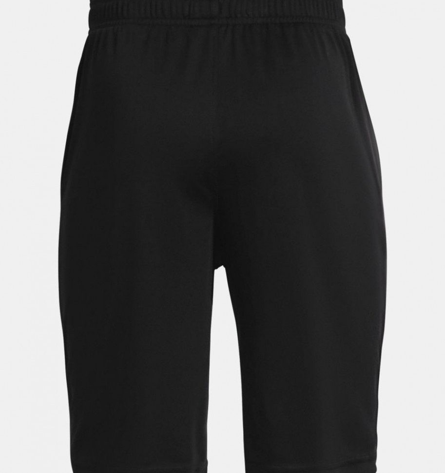 Шорты Under Armour UA Prototype 2.0 Wdmk Shorts 1361818-001