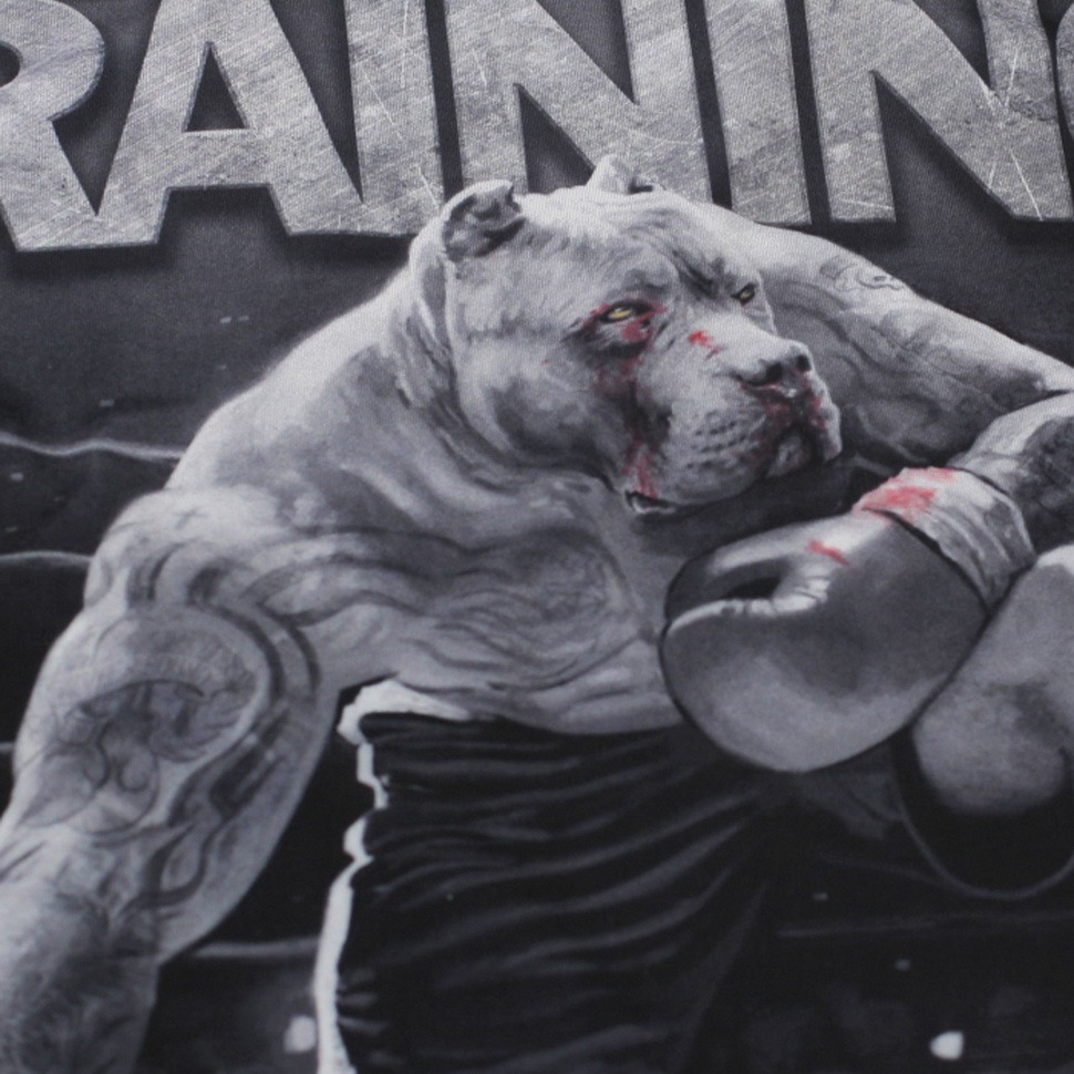 Рашгард Hardcore Training х Ground Shark Die Hard hctrash0209