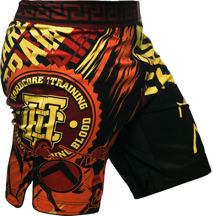 Шорты MMA Hardcore Training Sparta Black hctshorts066