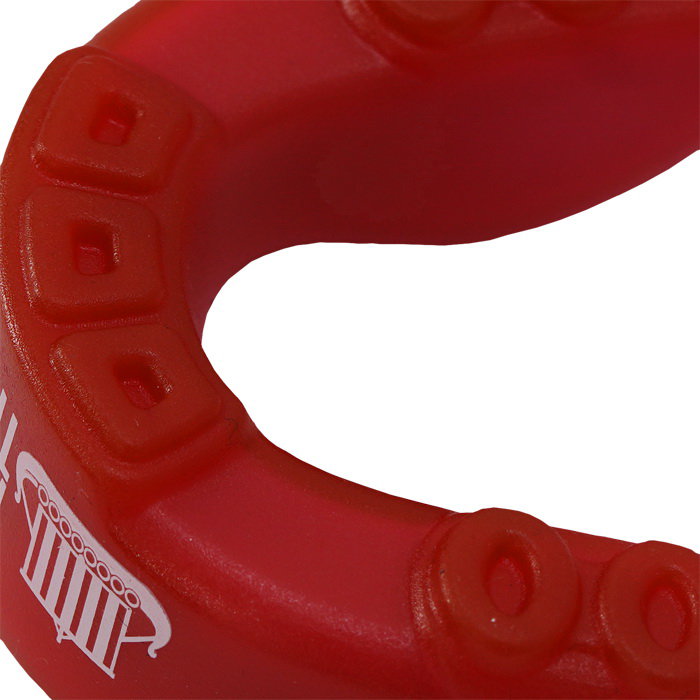 Боксерская капа Hardcore Training Viking hctprburl010