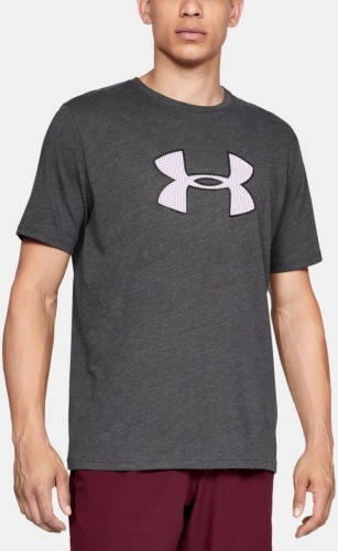 Футболка Under Armour UA BIG LOGO SS 1329583-019