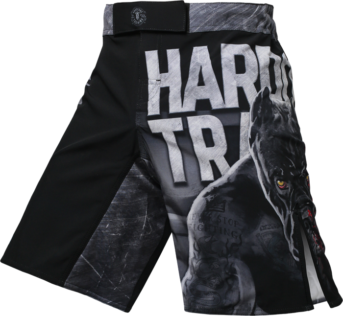Шорты Hardcore Training х Ground Shark The Moment of Truth hctshorts098