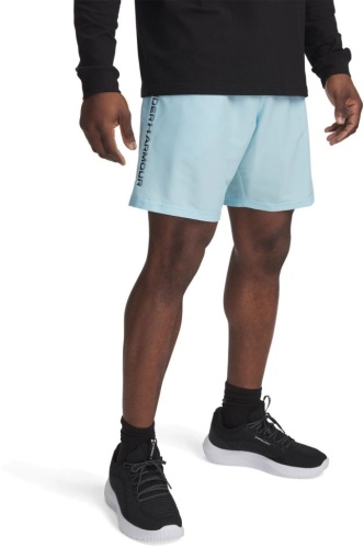Шорты Under Armour UA Tech Woven Wordmark Short 1383356-494