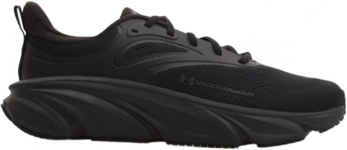 Кроссовки Under Armour UA Rogue 6 6006719-002