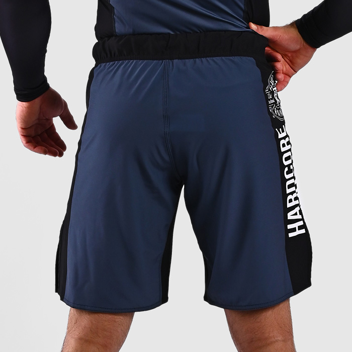 Шорты Hardcore Training Recruit Grey hctshorts0196