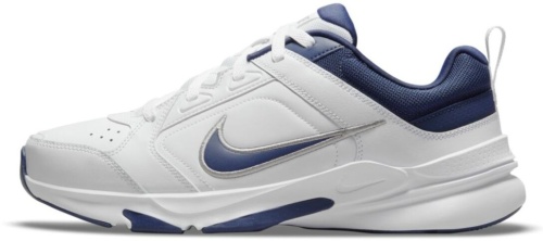 Кроссовки Nike Defy All Day DJ1196-100