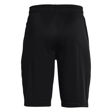 Шорты Under Armour UA Prototype 2.0 Wdmk Shorts 1361818-002
