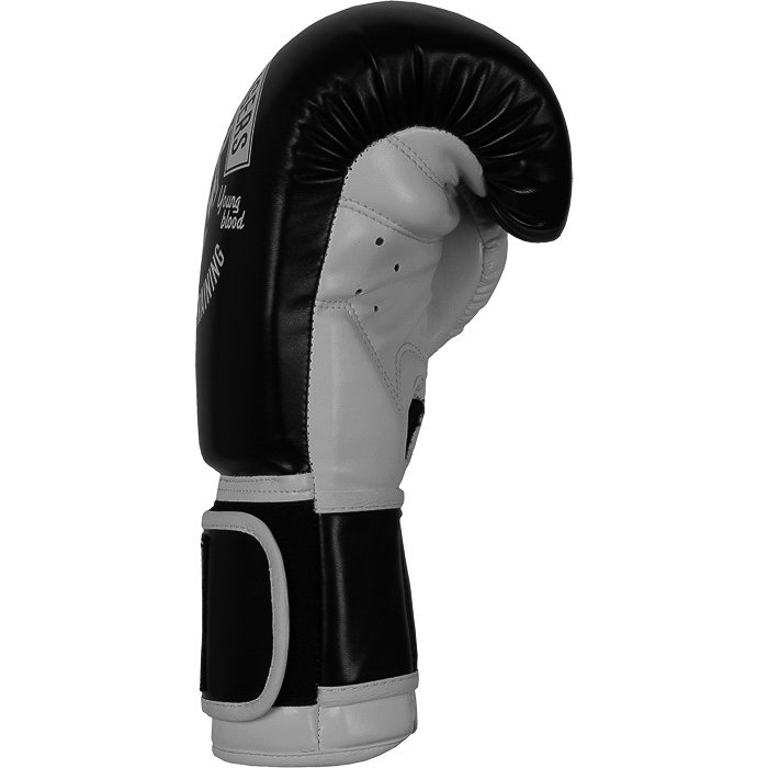 Боксерские перчатки Hardcore Training Muay Thai Tigers PU hctboxglove07
