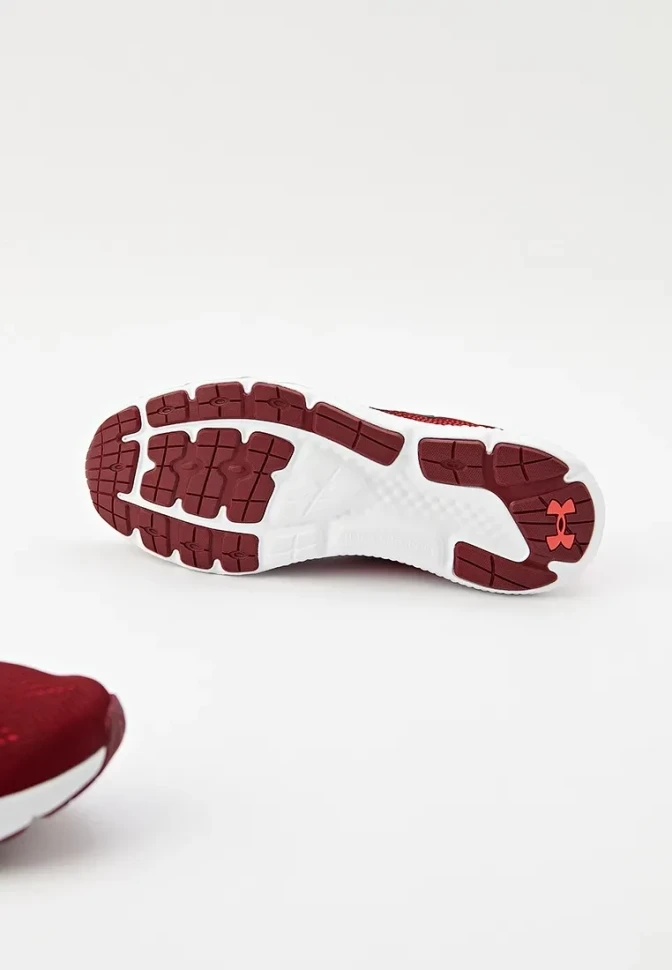 Кроссовки Under Armour UA Charged Rogue 4-RED 3026998-600