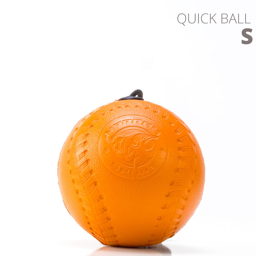 Спортивный тренажер Quick Ball Set