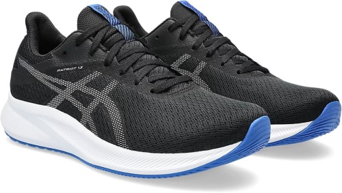 Кроссовки Asics PATRIOT 13 1011B485-005