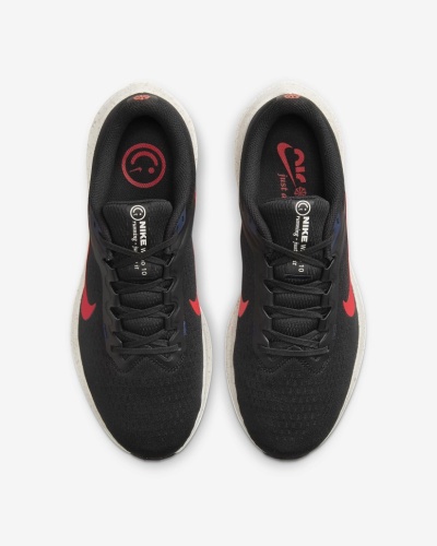 Кроссовки NIKE AIR WINFLO 10 DV4022-002