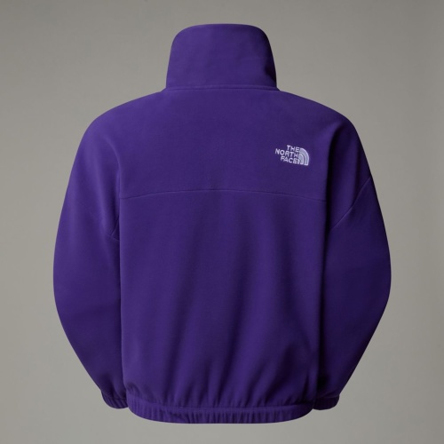 Толстовка The North Face W 100 GLACIER HALF ZIP FLEECE PEAK PURPLE NF0A89J9NL41