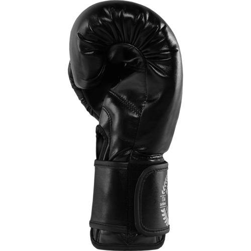 Боксерские перчатки Hardcore Training Surprise MF hctboxglove073