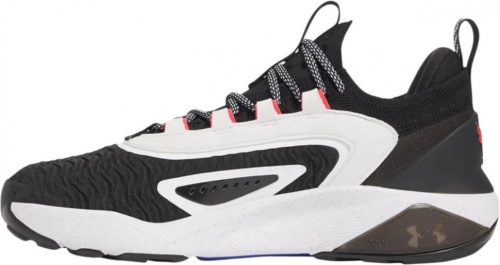 Кроссовки Under Armour Project Rock 7 3027600-004