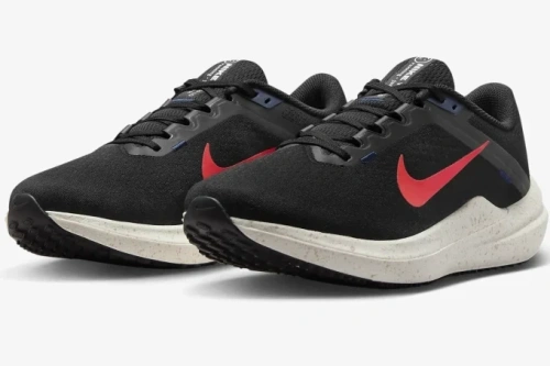 Кроссовки NIKE AIR WINFLO 10 DV4022-002