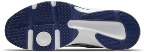 Кроссовки Nike Defy All Day DJ1196-100